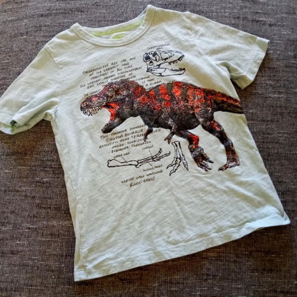 Oshkosh boys dinosaur t-shirts size 7